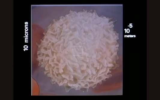 O que os astronautas veem que Trump não consegue ver