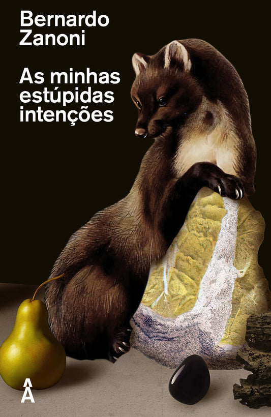 As minhas estúpidas intenções