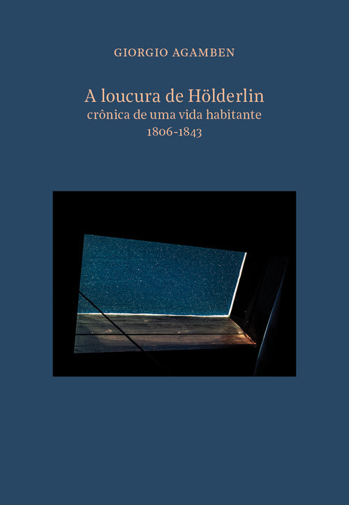 A loucura de Hölderlin