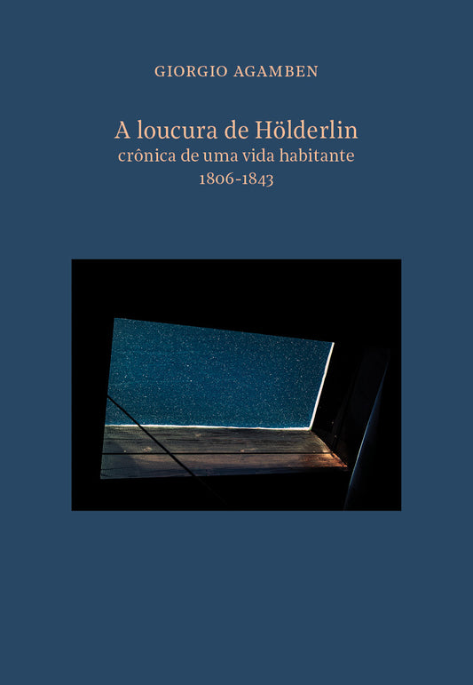 A loucura de Hölderlin