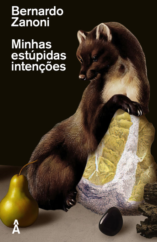 Minhas estúpidas intenções