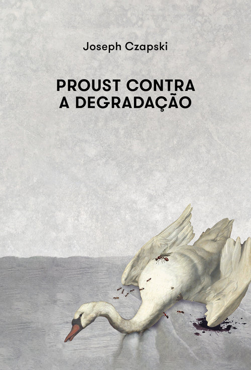 Proust contra a degradação