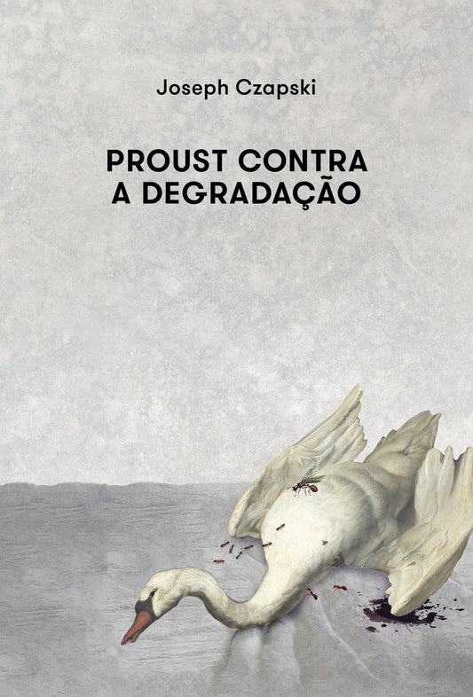 Proust contra a degradação
